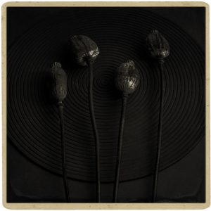 Dark Pods