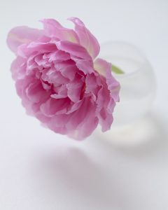 Flores Ephemeri 18028